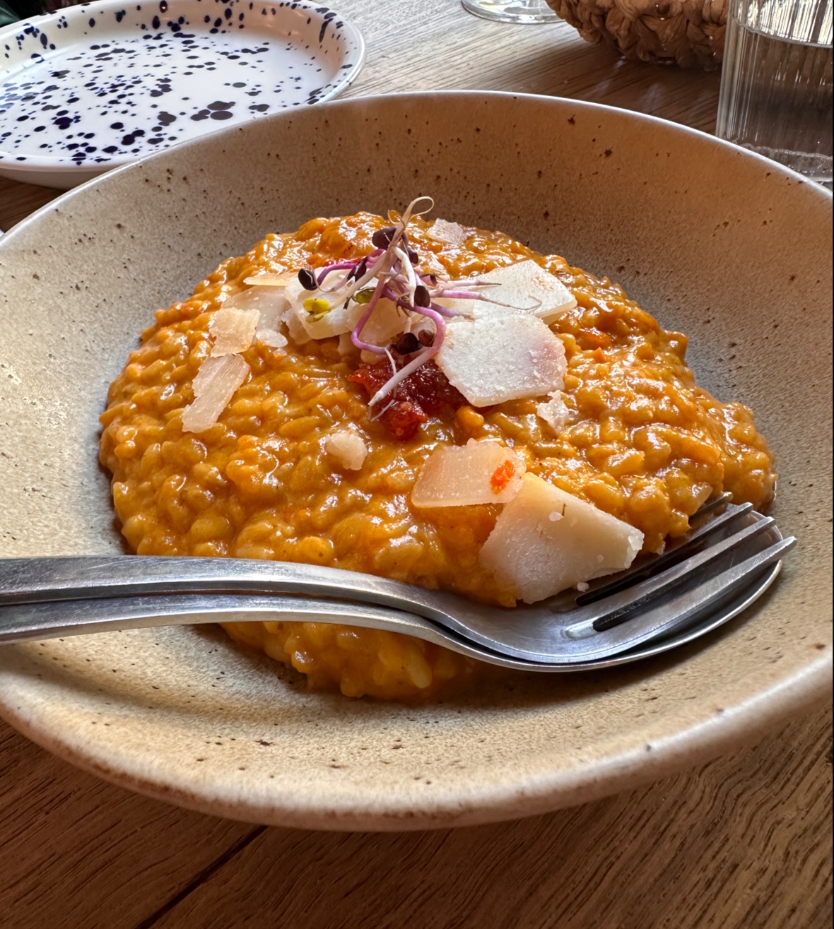 Betula Nana - Foto 2