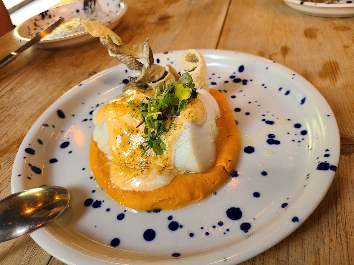 Betula Nana - Foto 3