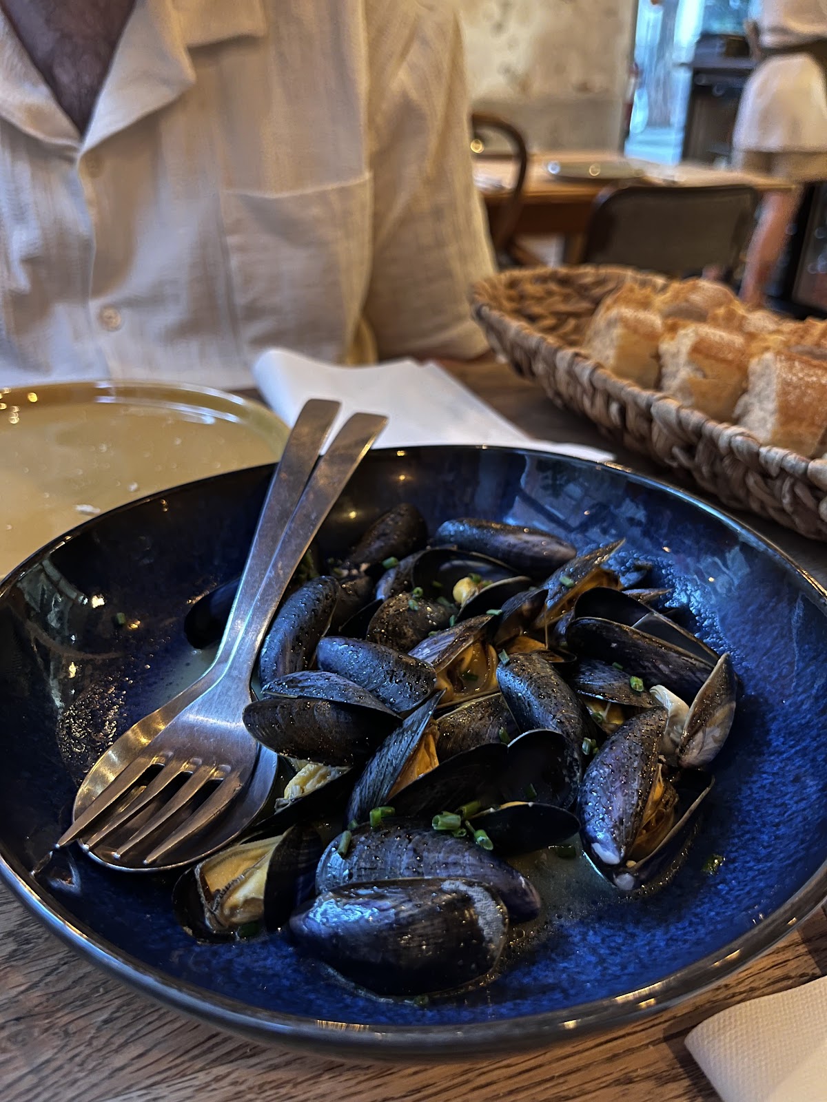 Betula Nana - Foto 5