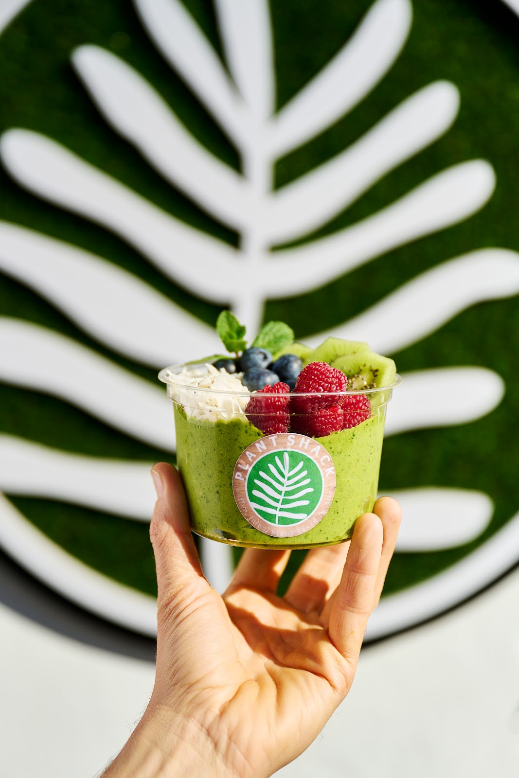 PLANT SHACK Altea - Foto 4