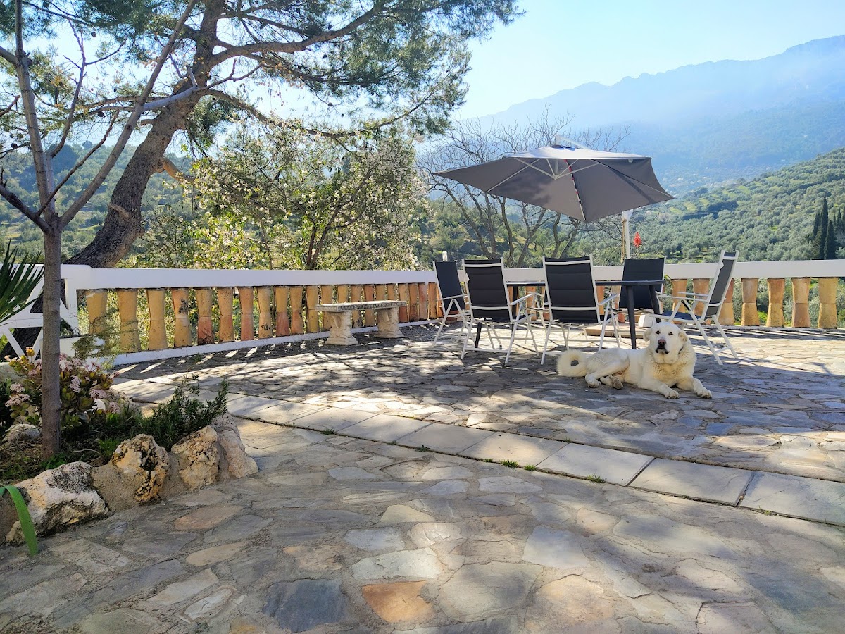 Alojamiento Rural Medios Panes - Foto 1