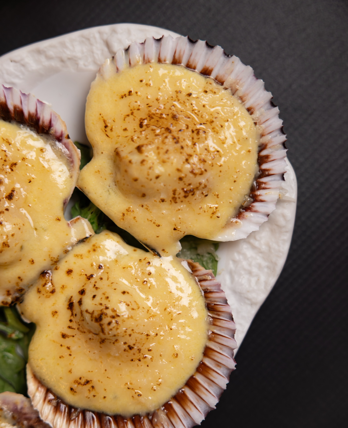 Cevitxef Bilbao - Foto 2