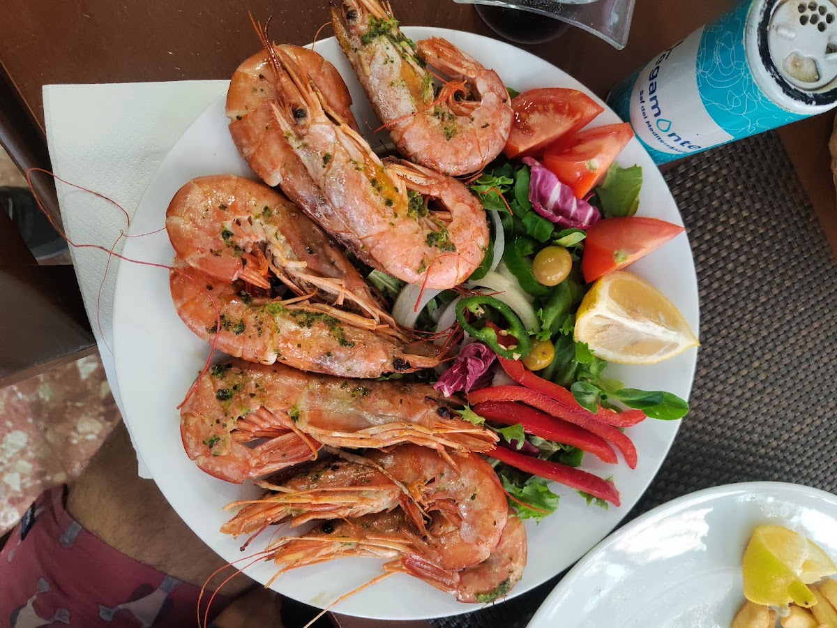 Bar Cafetería Transit Gran Prix - Foto 5