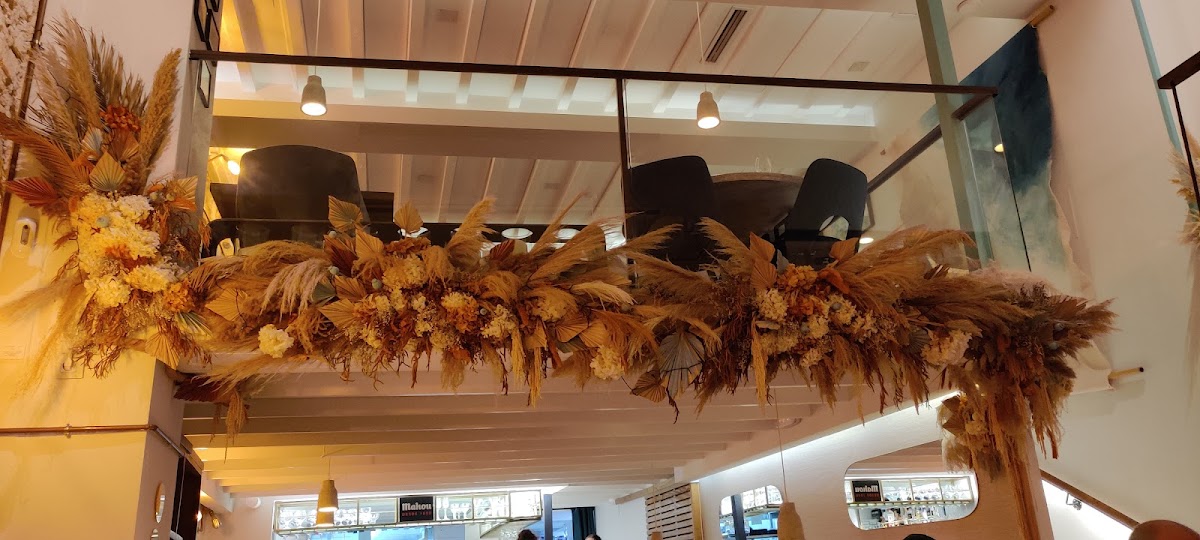 Restaurante Koiné Bistró Alicante - Foto 2