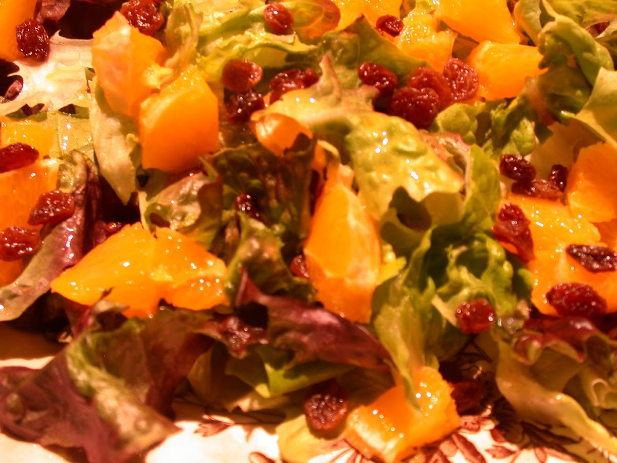 Casa Rural Ornitológica Boletas - Boletas Birdwatching Centre - Foto 5