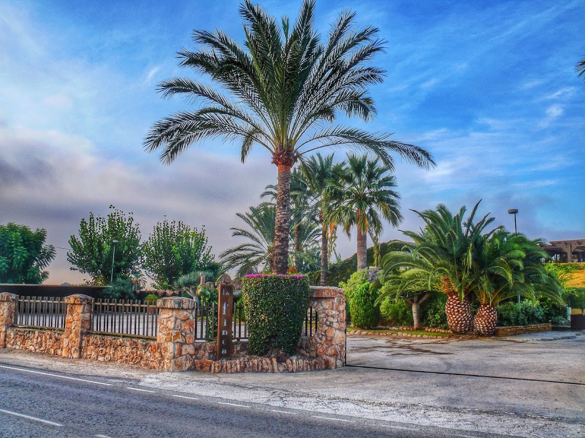 Restaurante La Finca - Foto 4