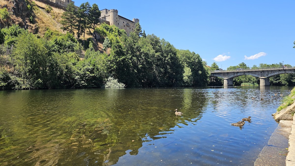 CAPARROTA RIO - Foto 4