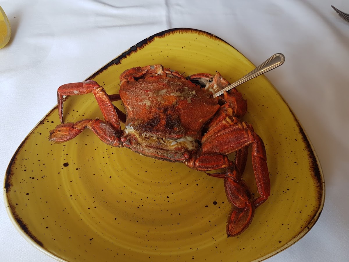 Taberna Eloy - Foto 2