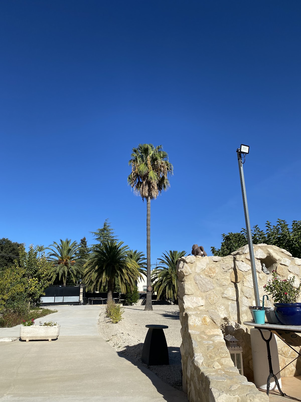 B&B Casa Mil Sueños - Foto 3