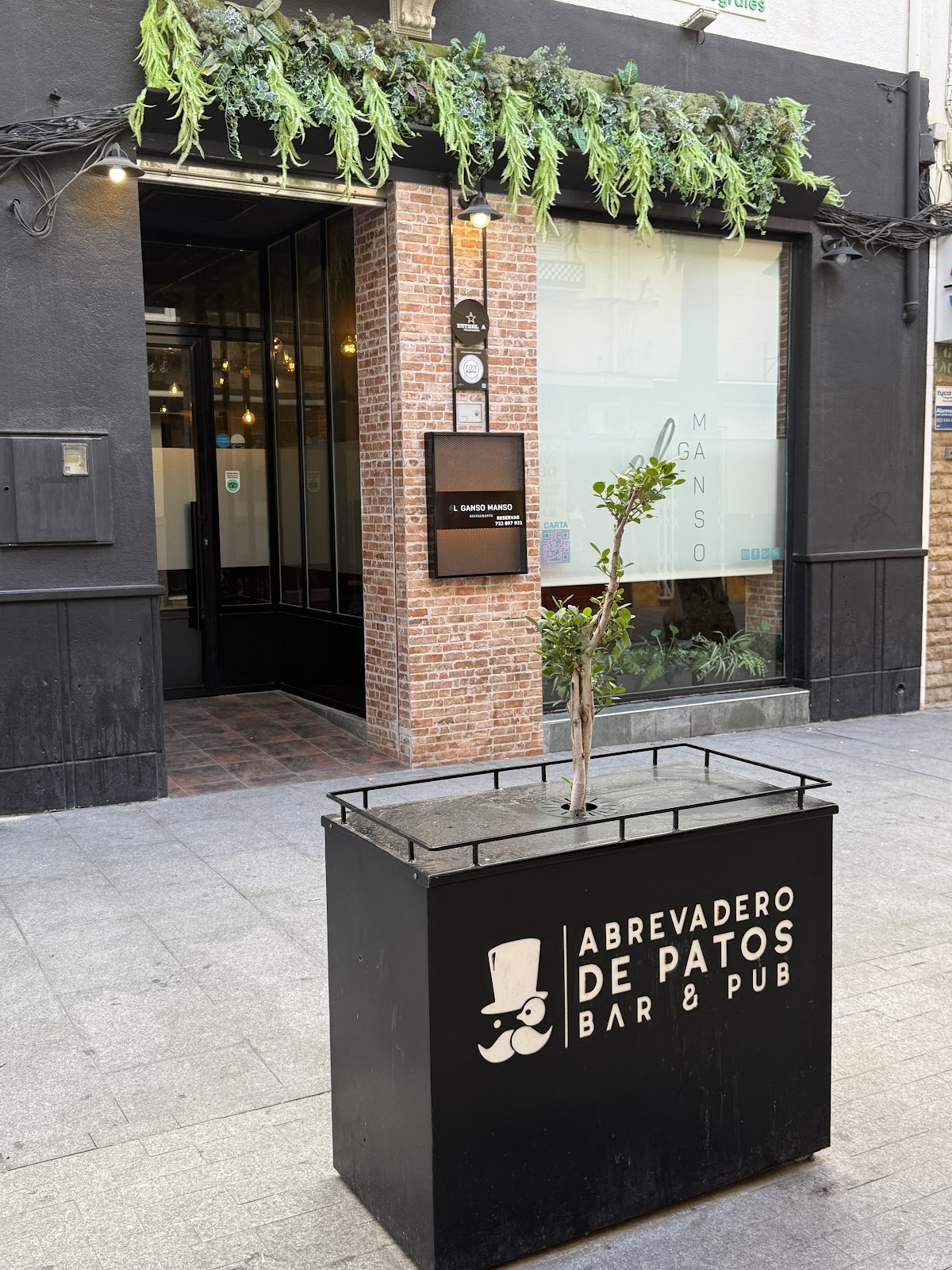 Restaurante Ganso Manso - Foto 4