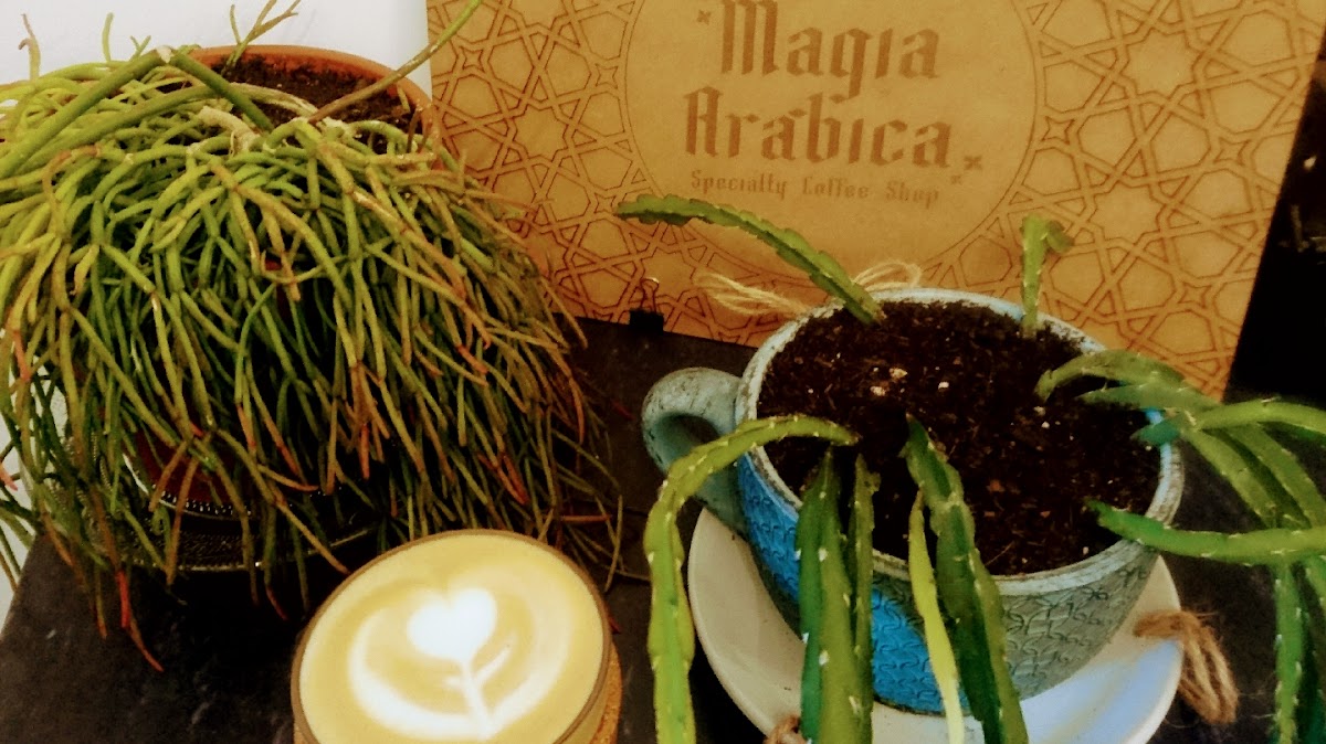 Magia Arábica - Foto 2