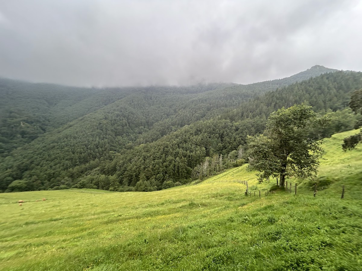 Restaurante Aittola-Zar Jatetxea - Foto 5