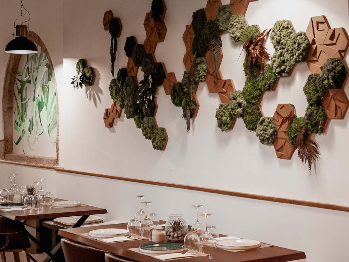 El Canaia de Cano - Foto 1