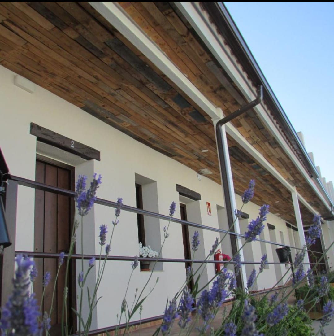 Hostal Almagro - Foto 4