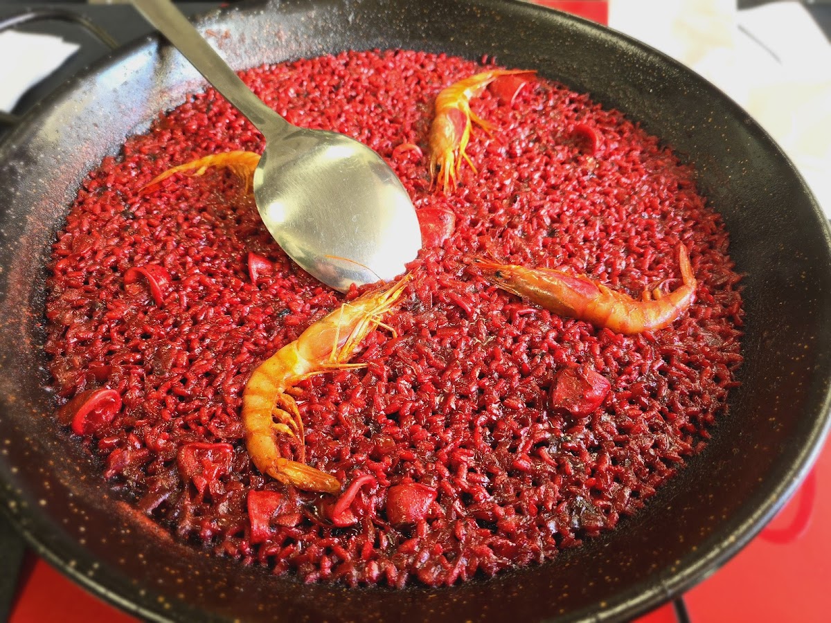 Terra i Mar Gandia - Foto 2