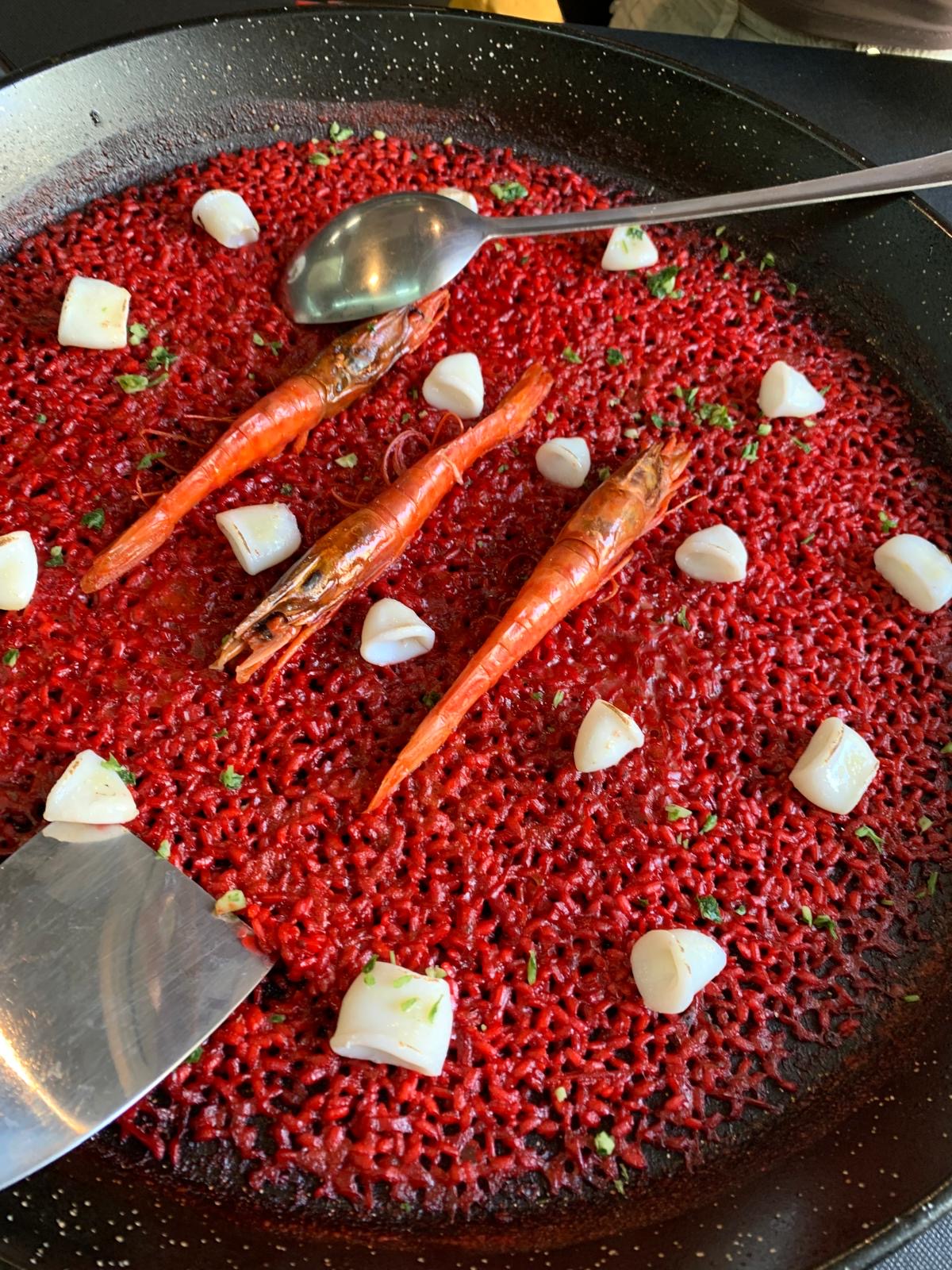 Terra i Mar Gandia - Foto 3