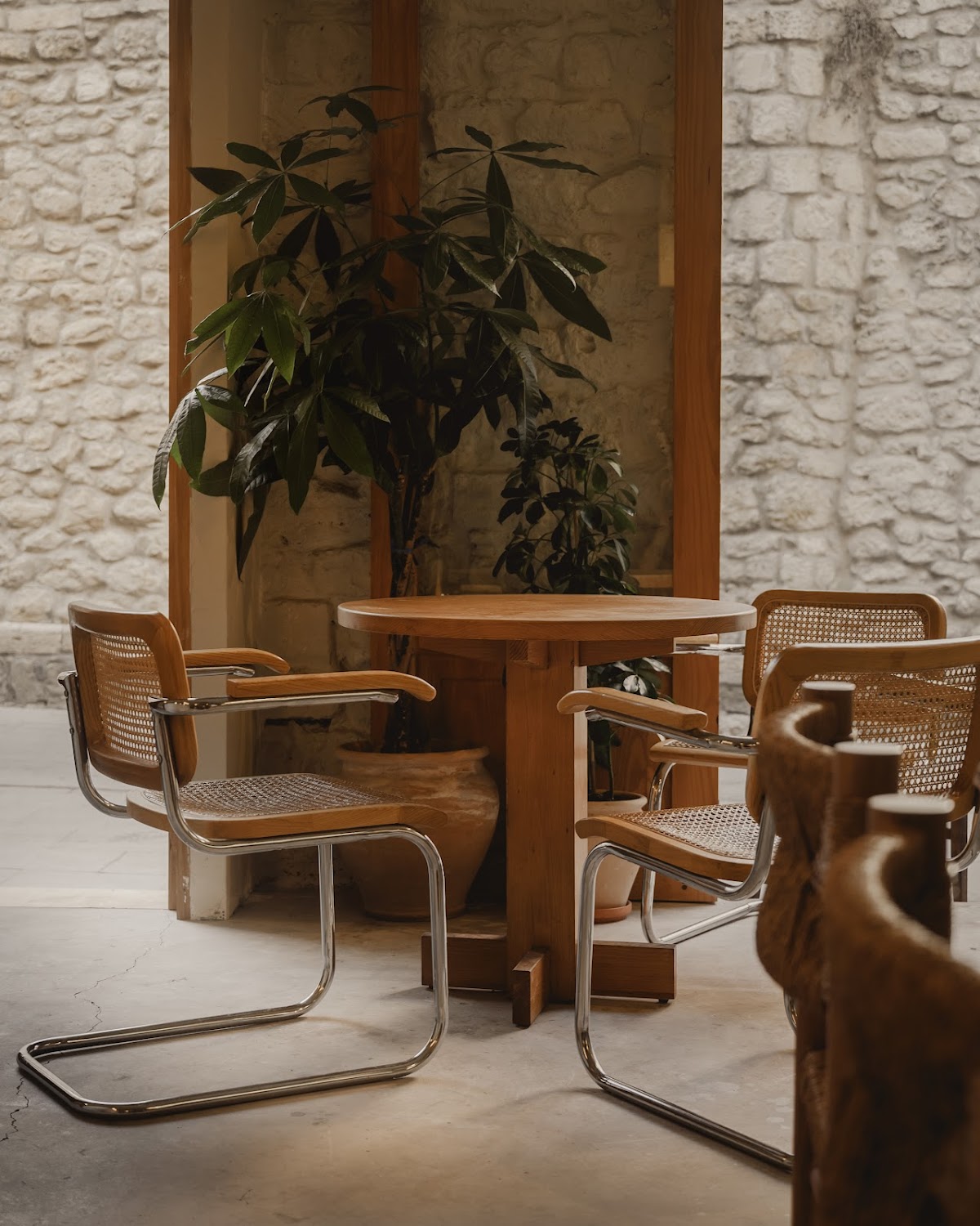 Swallow - Specialty Coffee - Foto 1