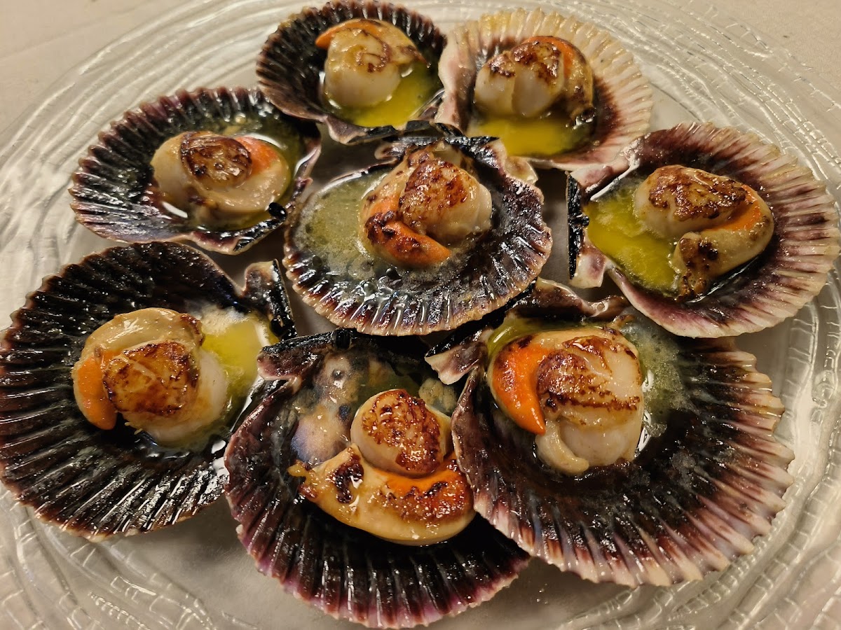 Restaurante Casa Marco - Foto 3