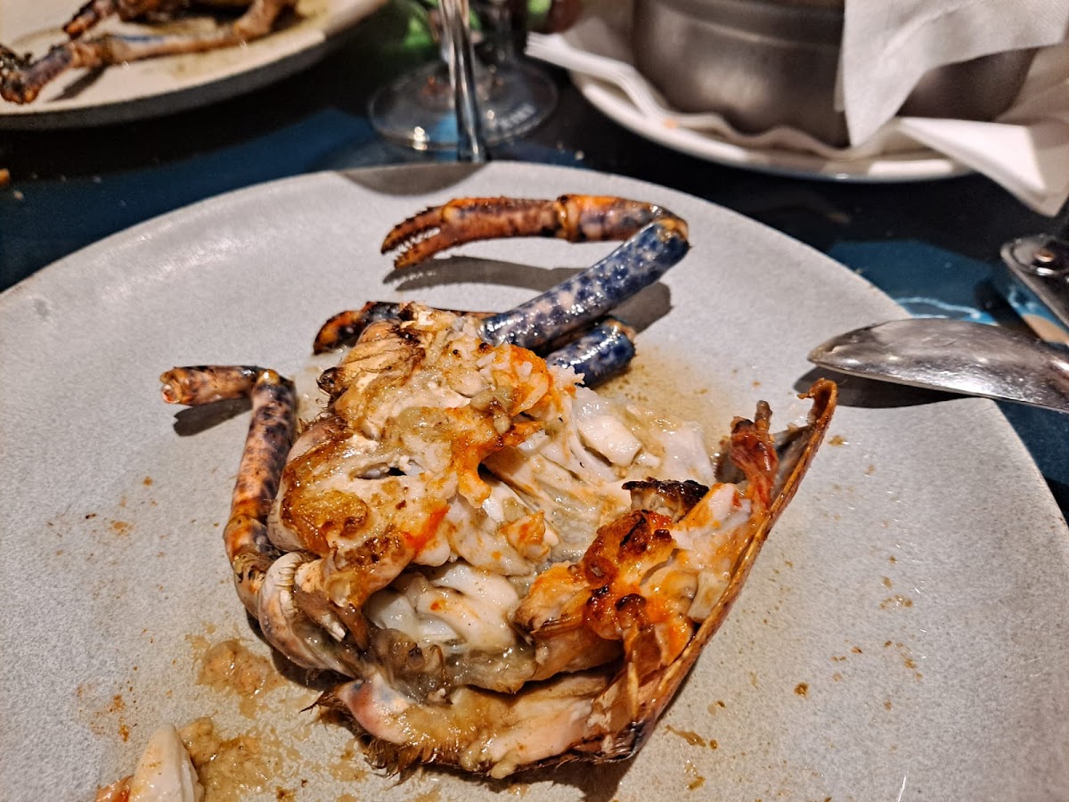 Elkano Txiki - Foto 3