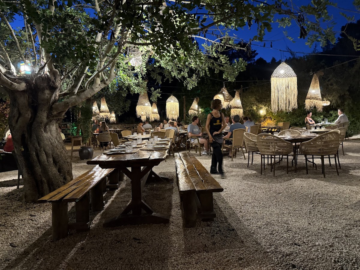 Shamarkanda Restaurante Ibiza - Foto 4