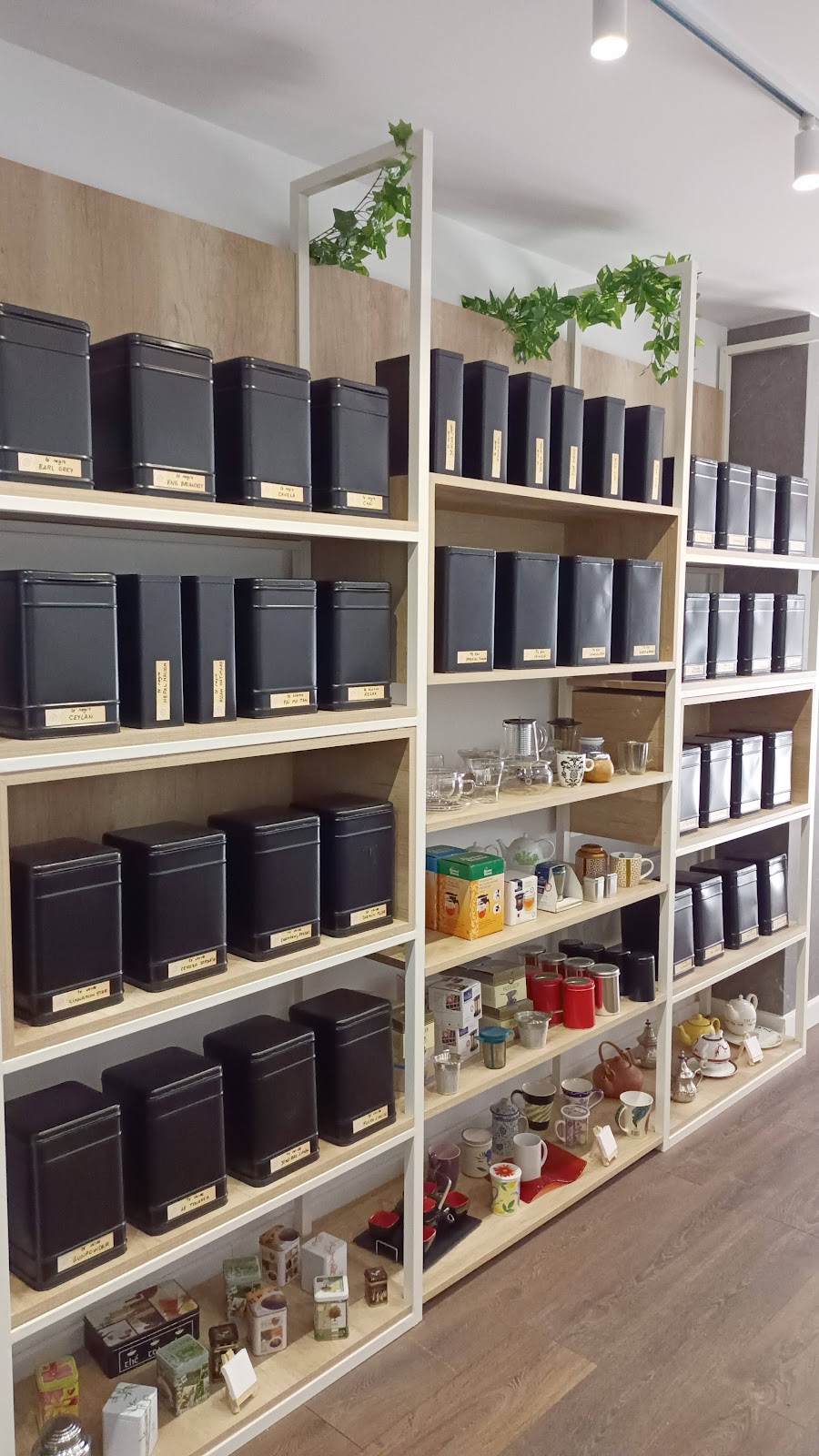 ESPARCIA CAFÉ Y TÉ - Foto 5