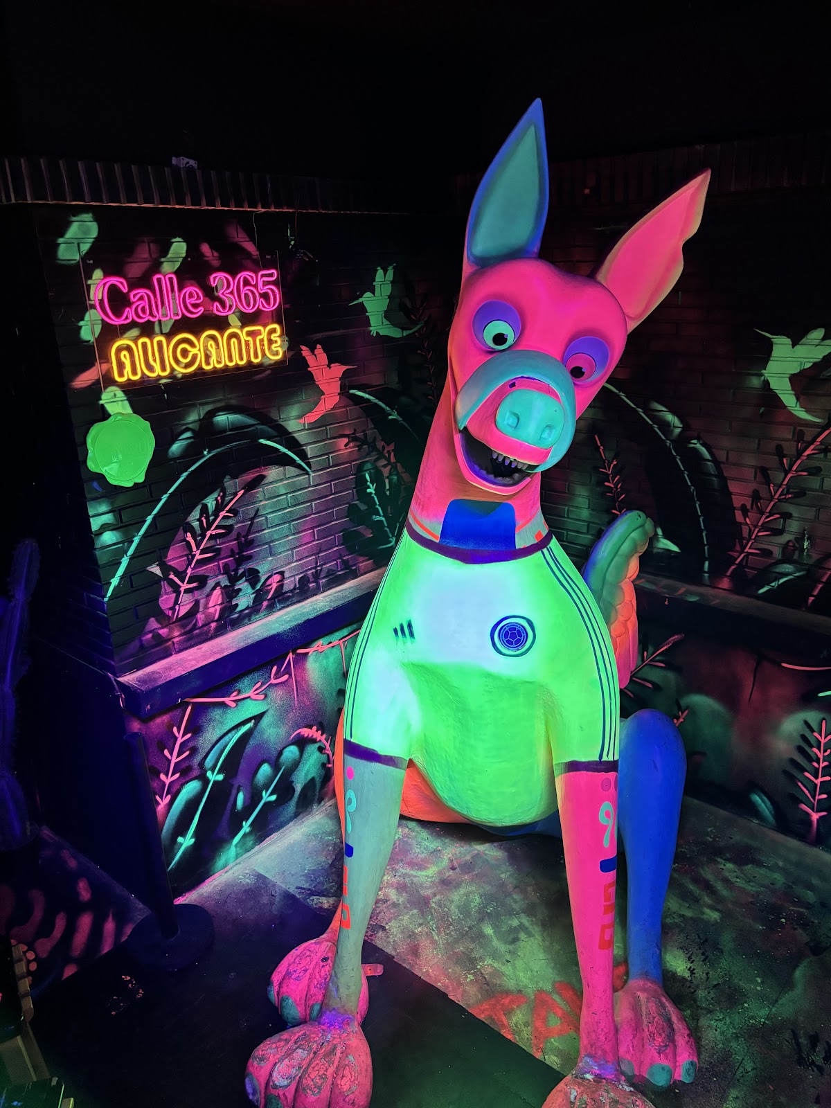 Discoteca Calle 365 Alicante - Foto 2