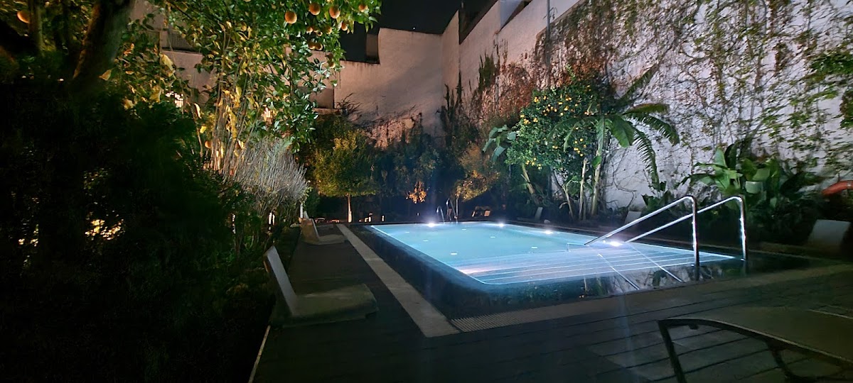 Hotel Hospes Palacio del Bailío - Foto 3