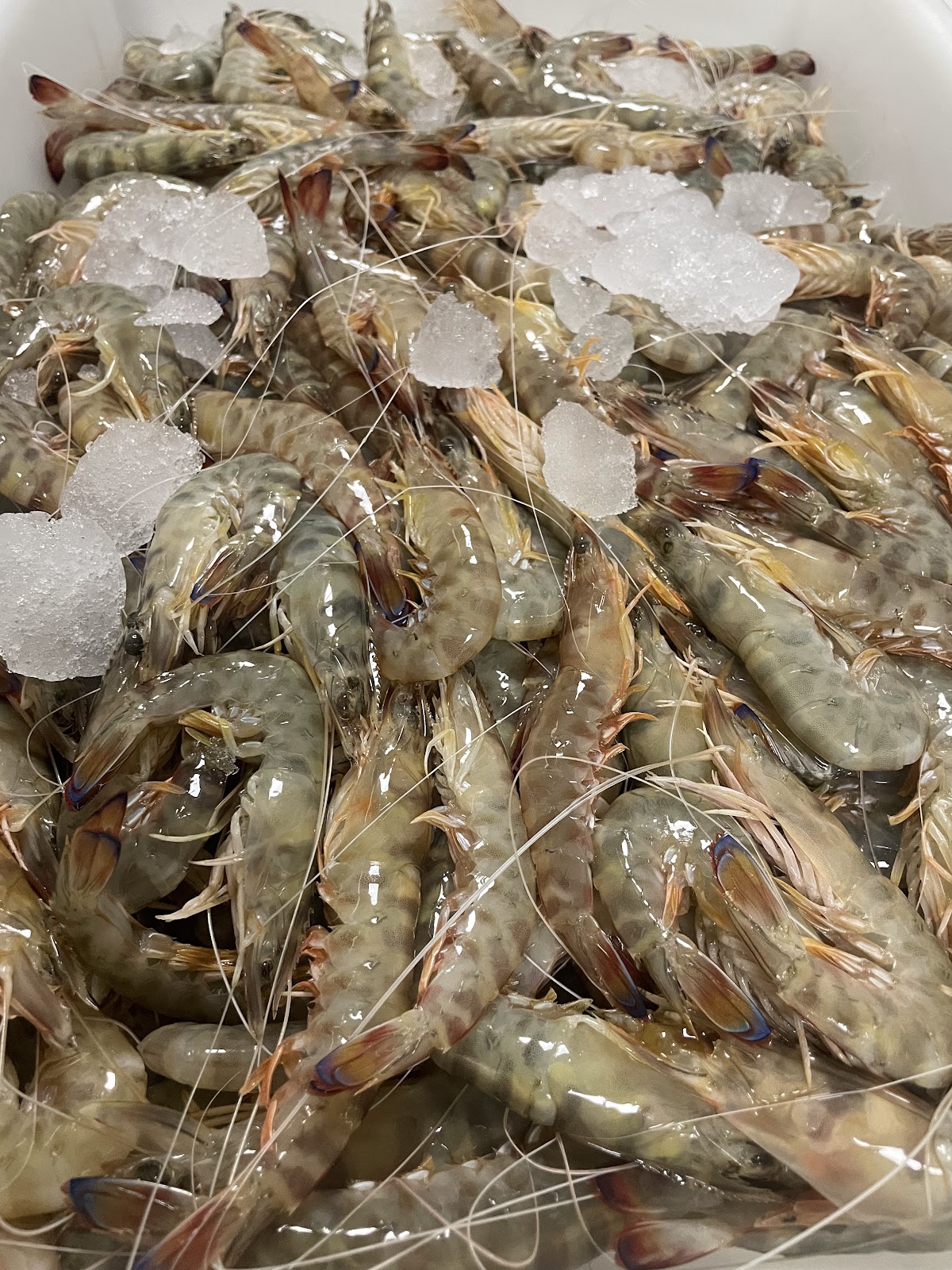 Restaurante nautica - Foto 2