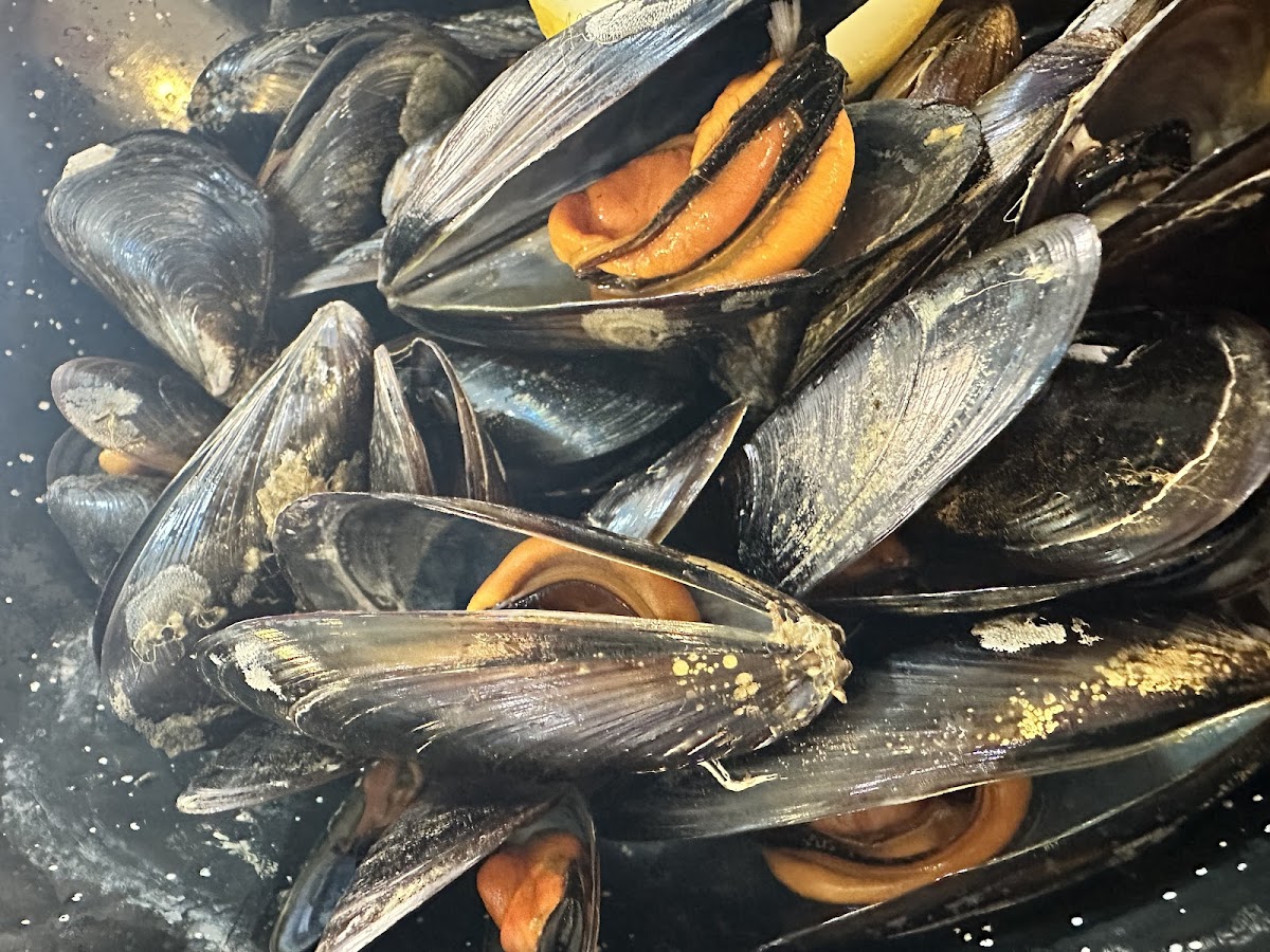 Restaurante nautica - Foto 4