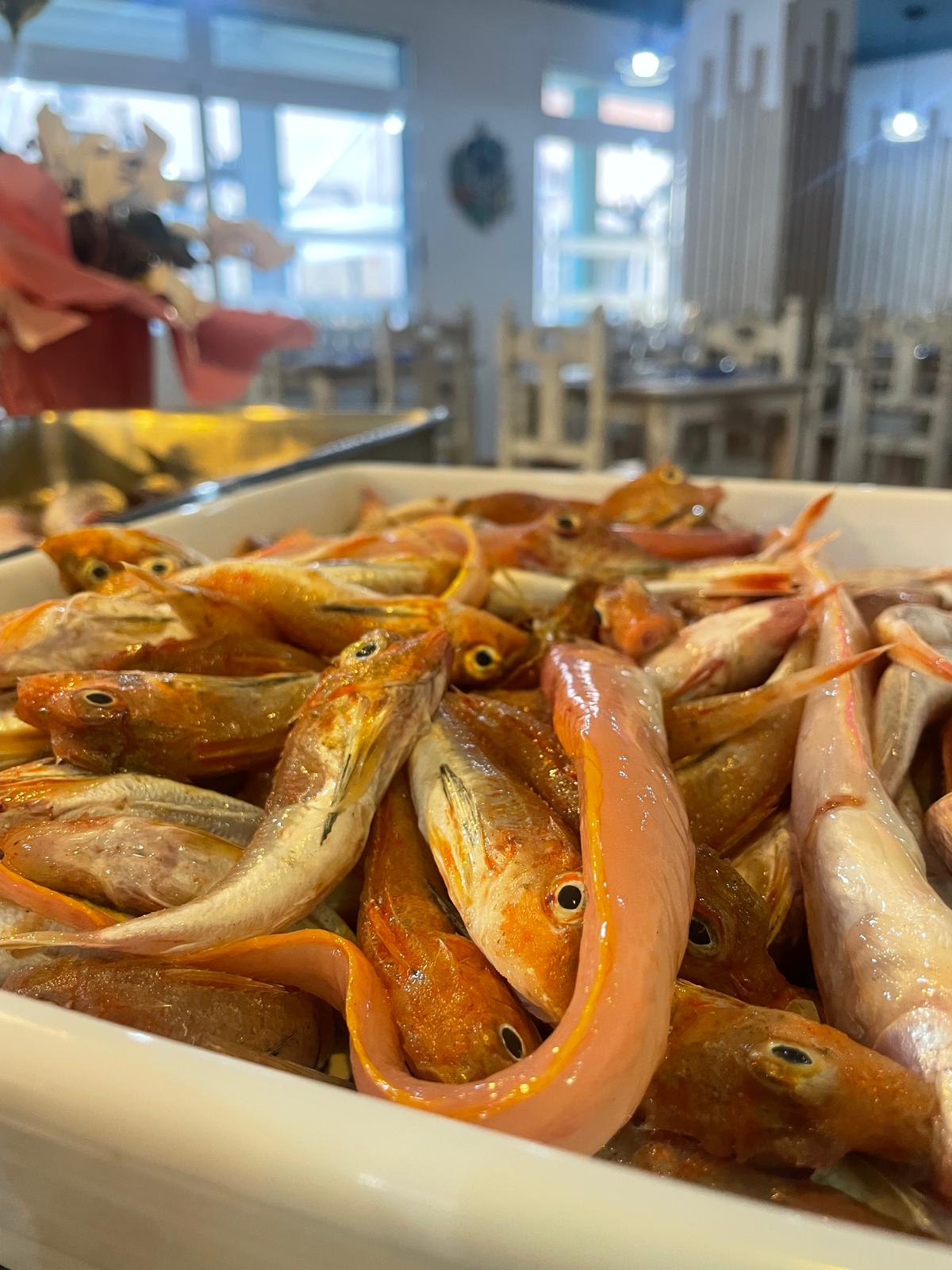 Restaurante nautica - Foto 5