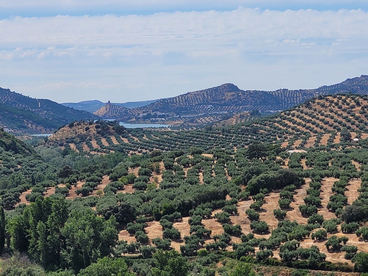 Casa Rural El Encinar de Cobo