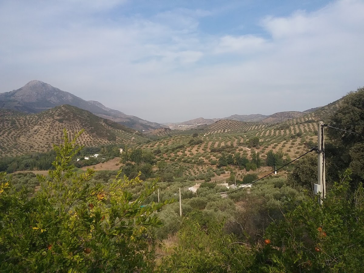 Casa Rural El Encinar de Cobo - Foto 5