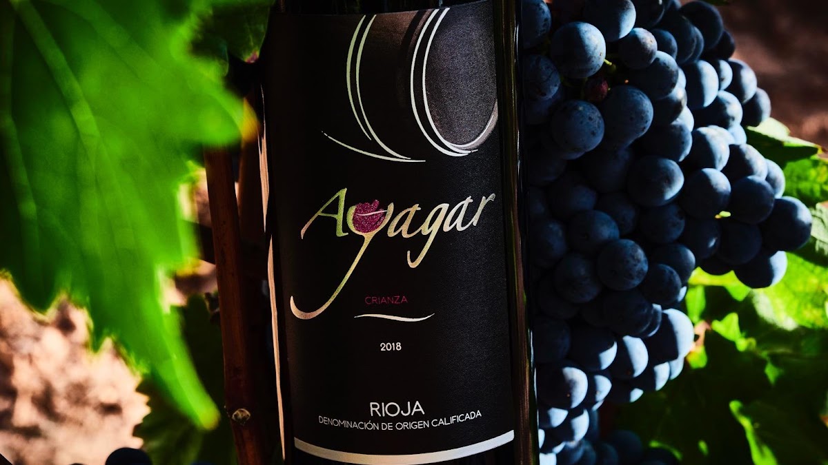 Bodegas Ayagar - Foto 2