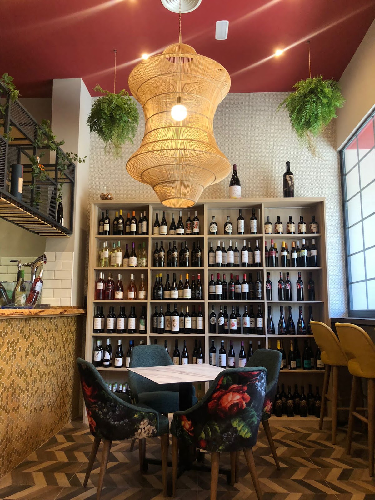 La Viña Bonita - Foto 1