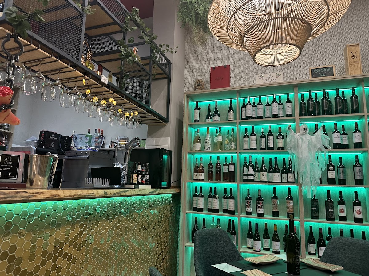 La Viña Bonita - Foto 3