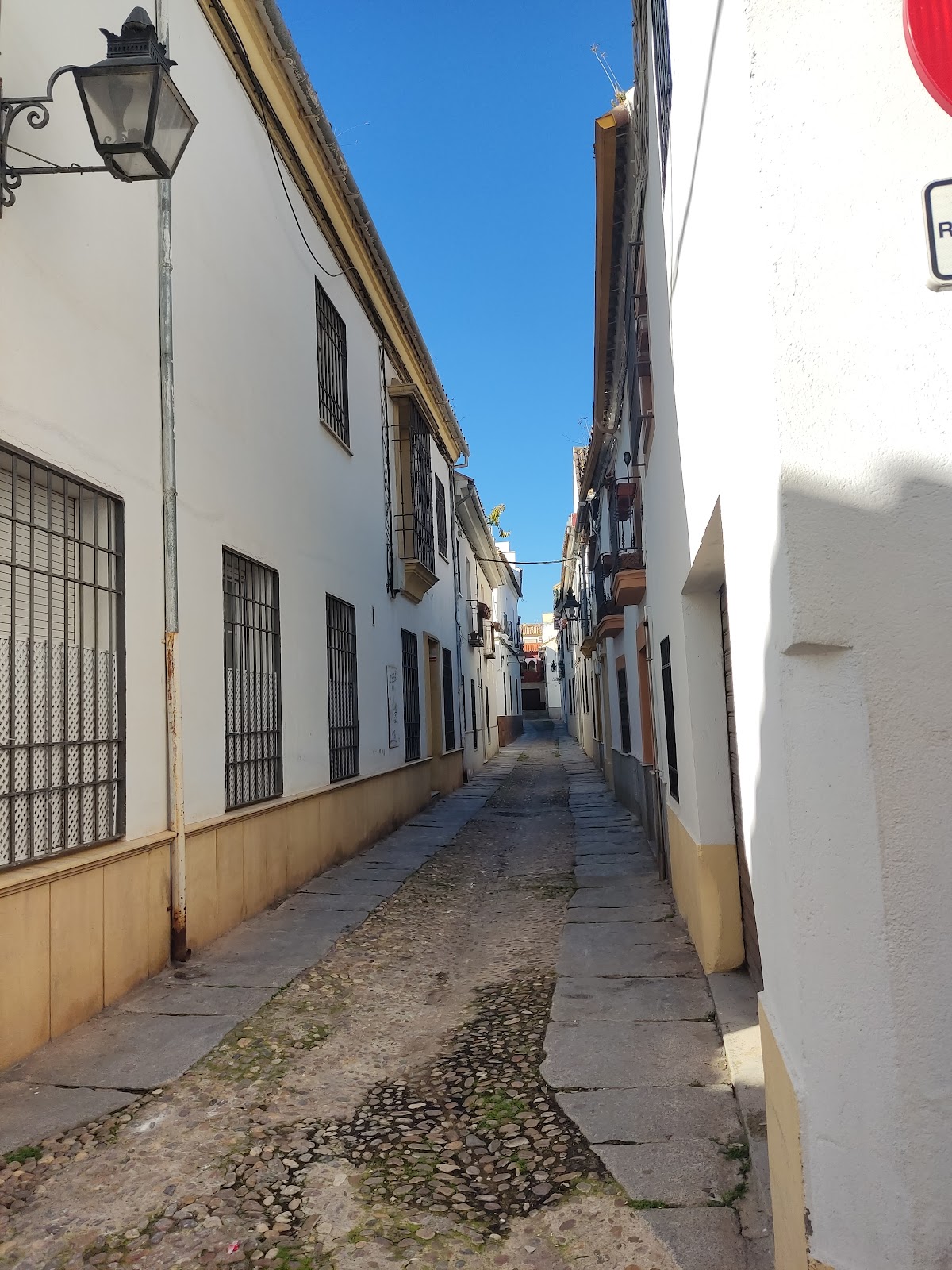 Taberna La Fuenseca - Foto 4