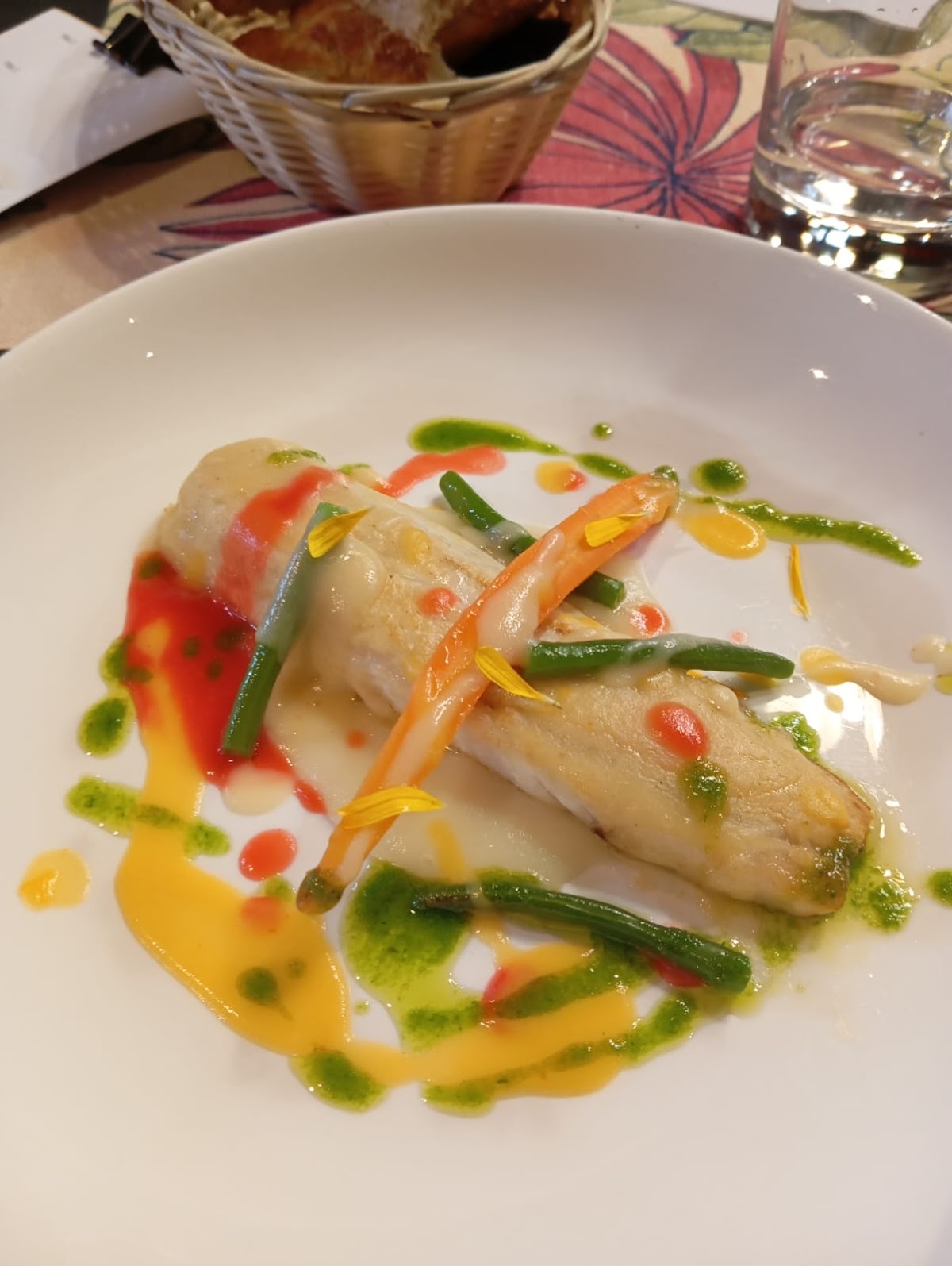 BionBo Club - Foto 4