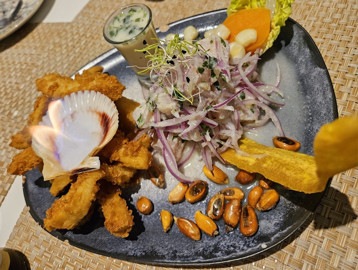 El Gran Erizo - Foto 4