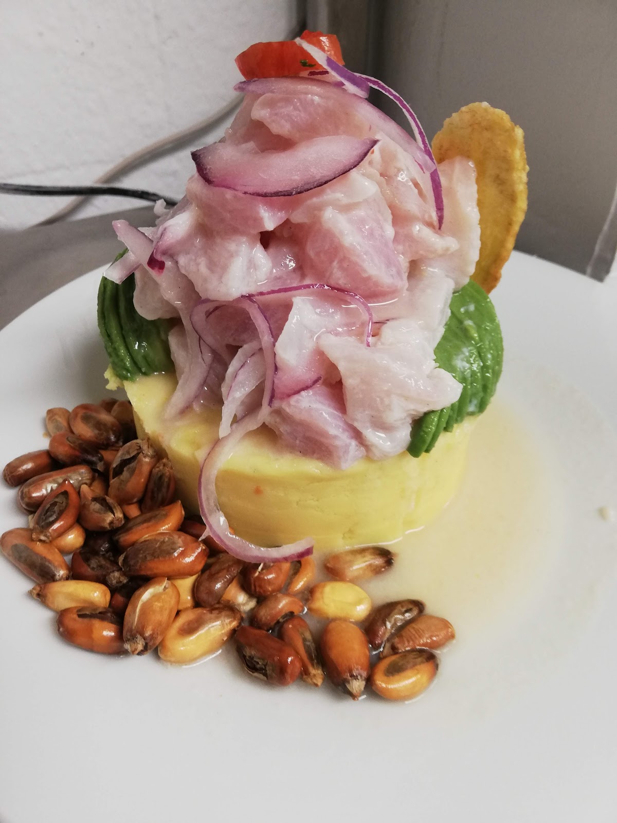 El Gran Erizo - Foto 5