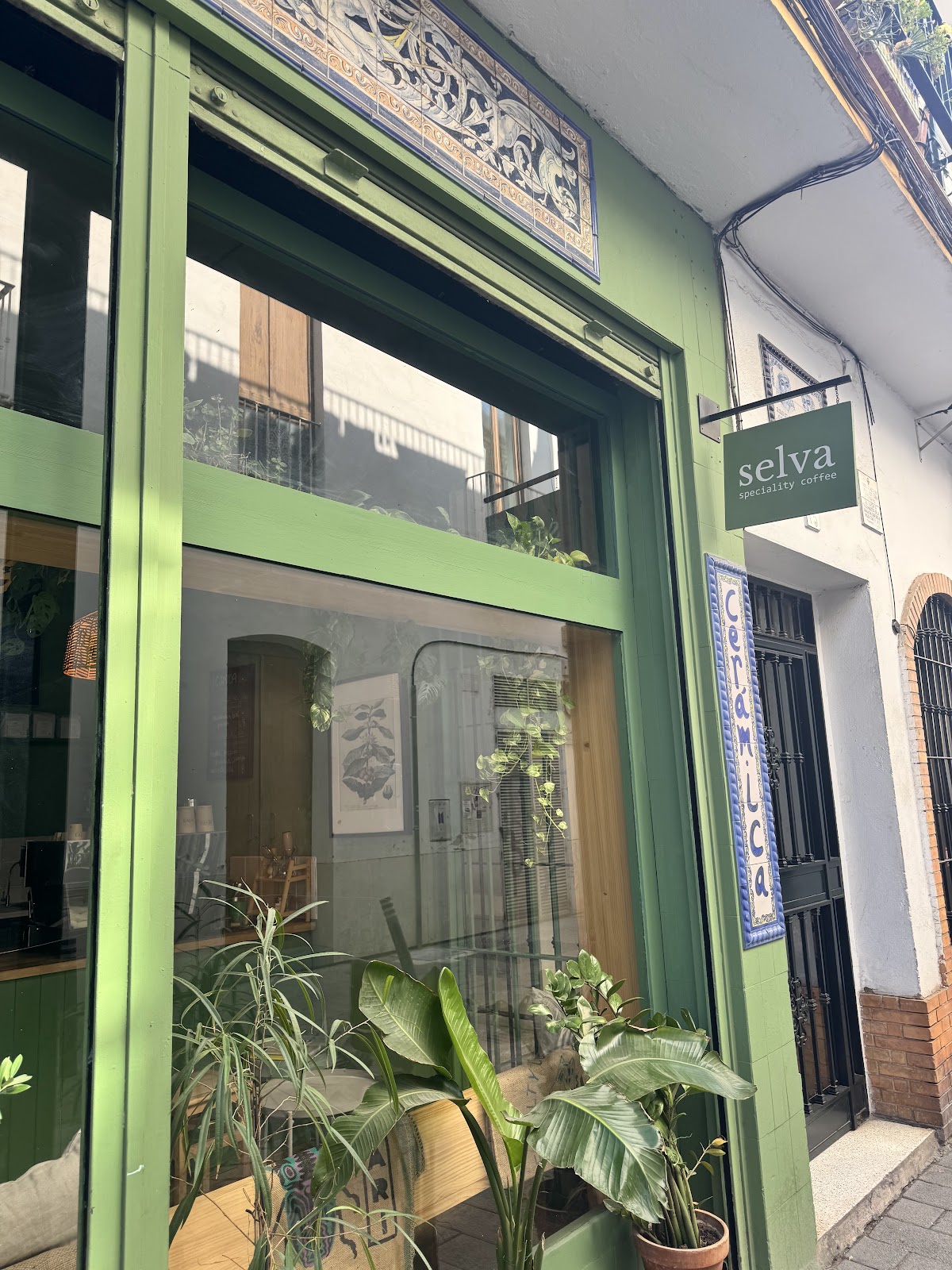 Selva Coffee - Foto 5