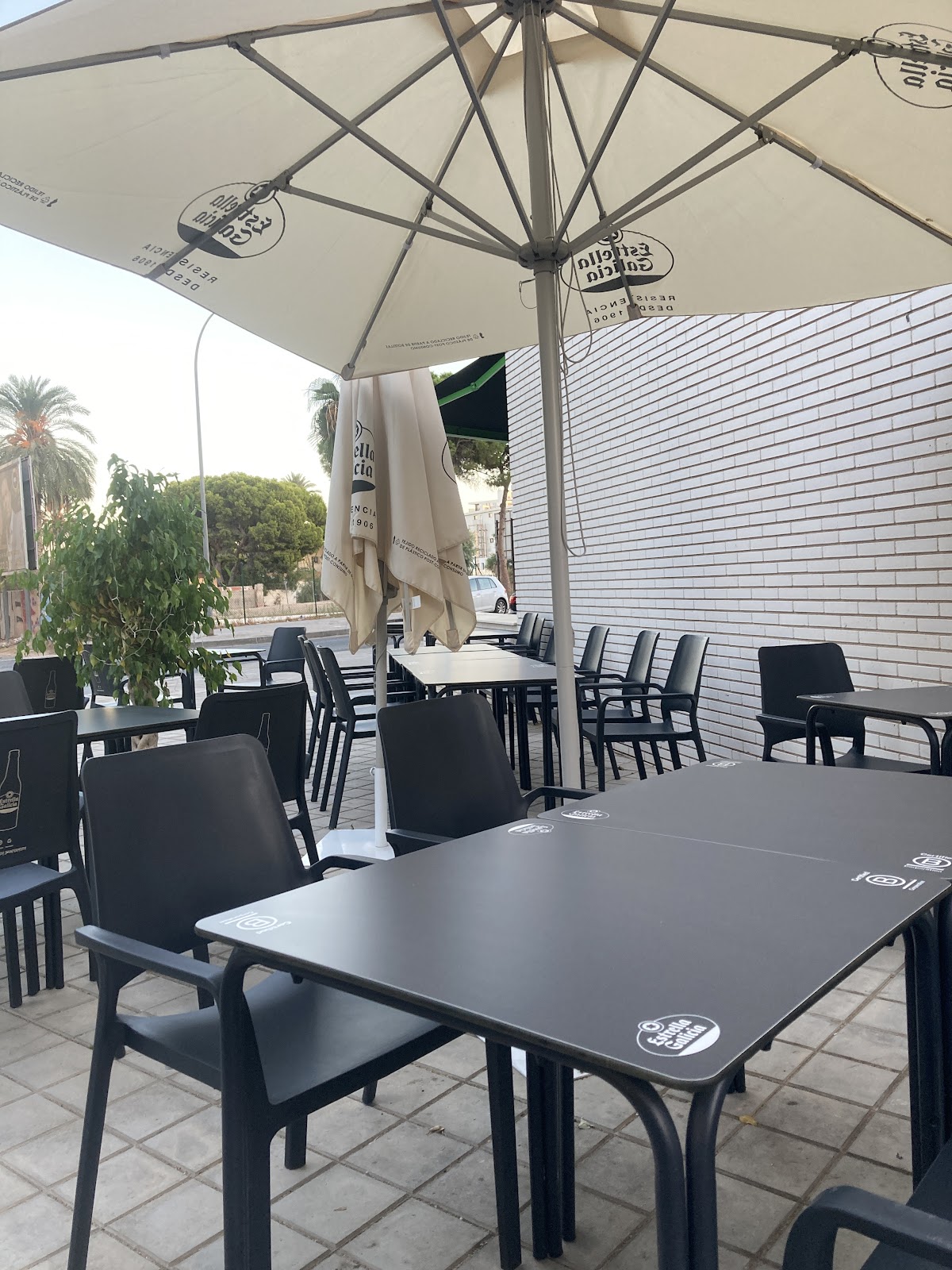 Asador Skonn | Alicante | Restaurante Barbacoa Armenia - Foto 2