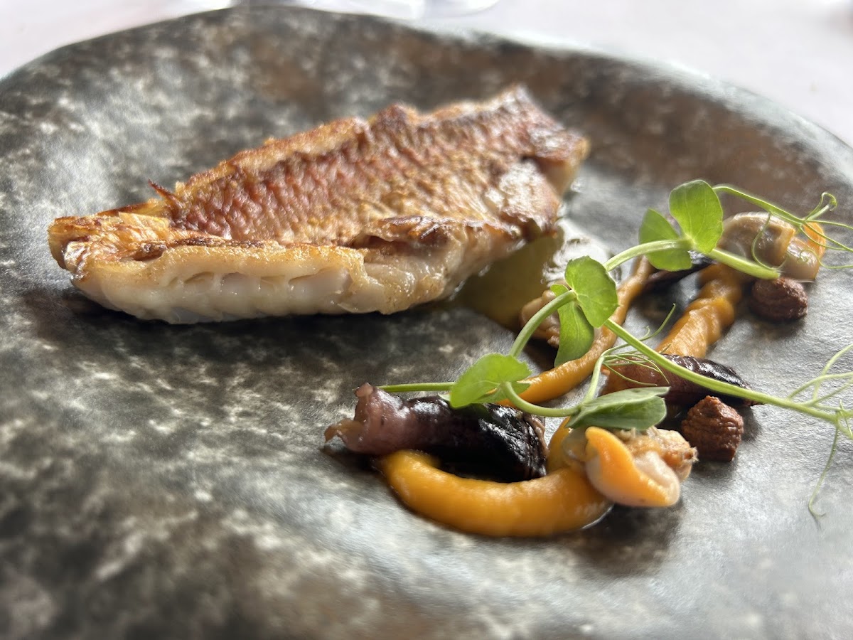 Ferpel Gastronómico - Foto 4