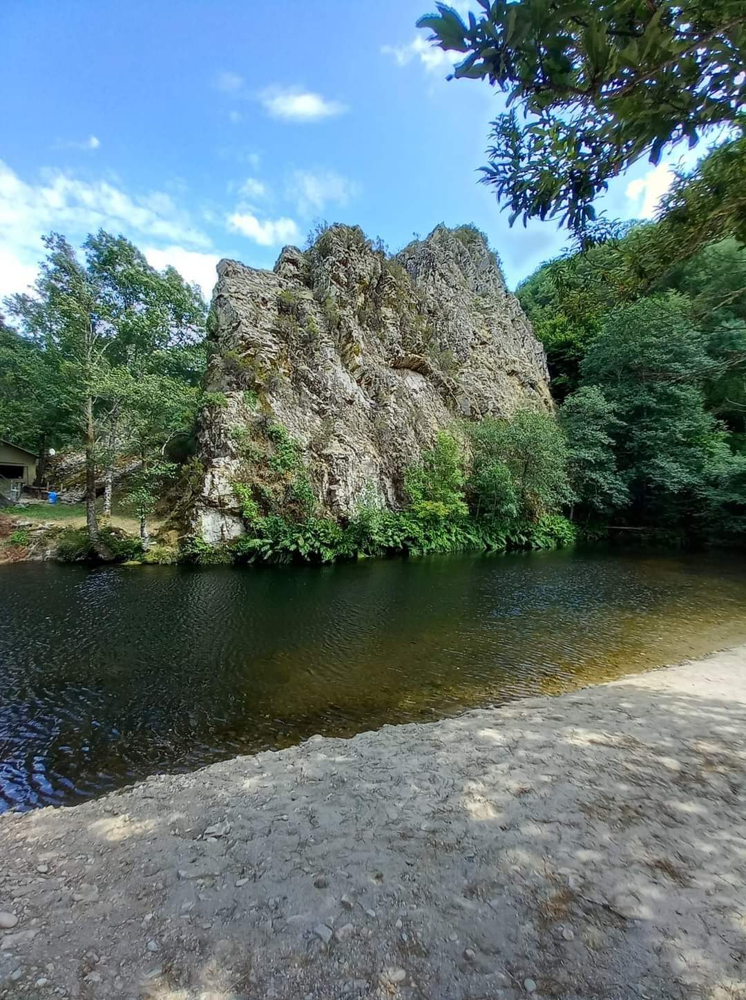 Cafetería La Parada II - Foto 4