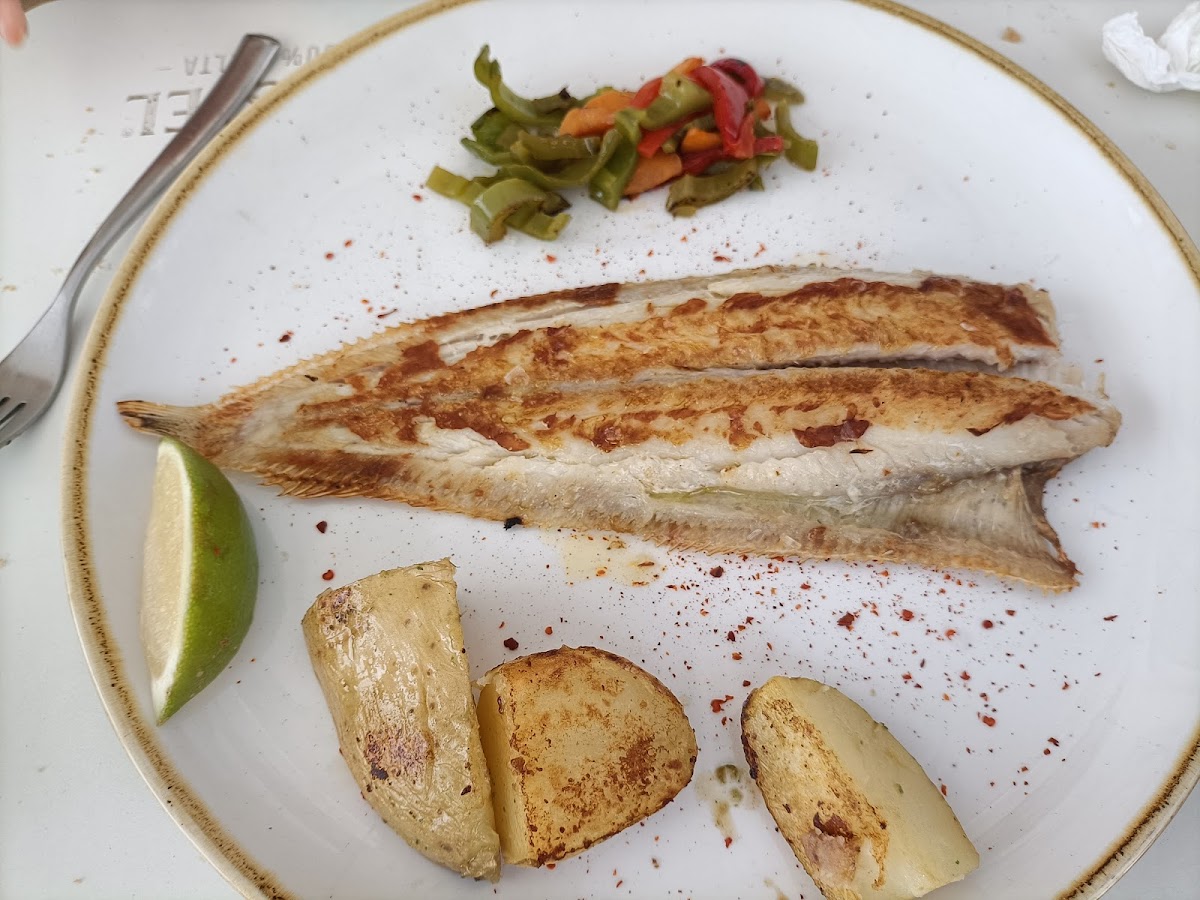 Barlovento Tapas - Bar - Foto 3