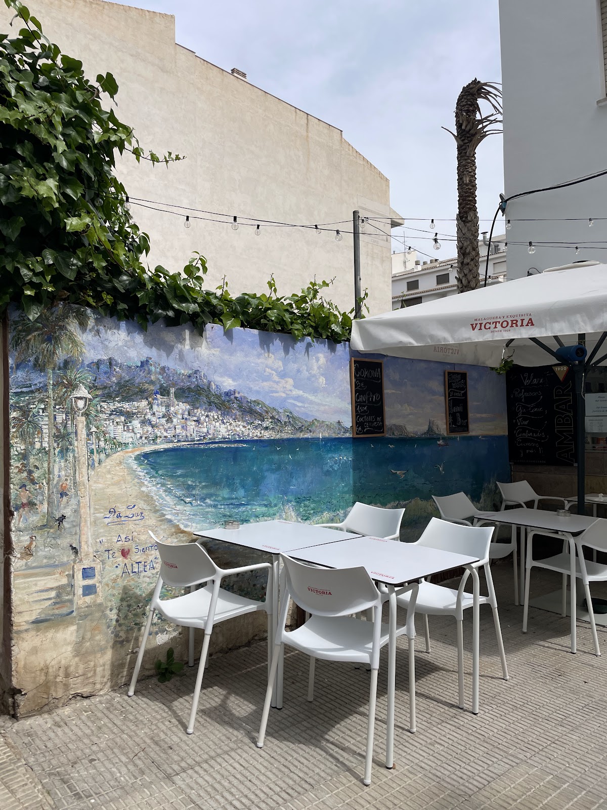 Volare Bar-Cafeteria - Foto 4