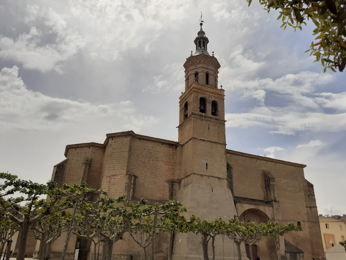 Mesón El Escudo - Foto 3