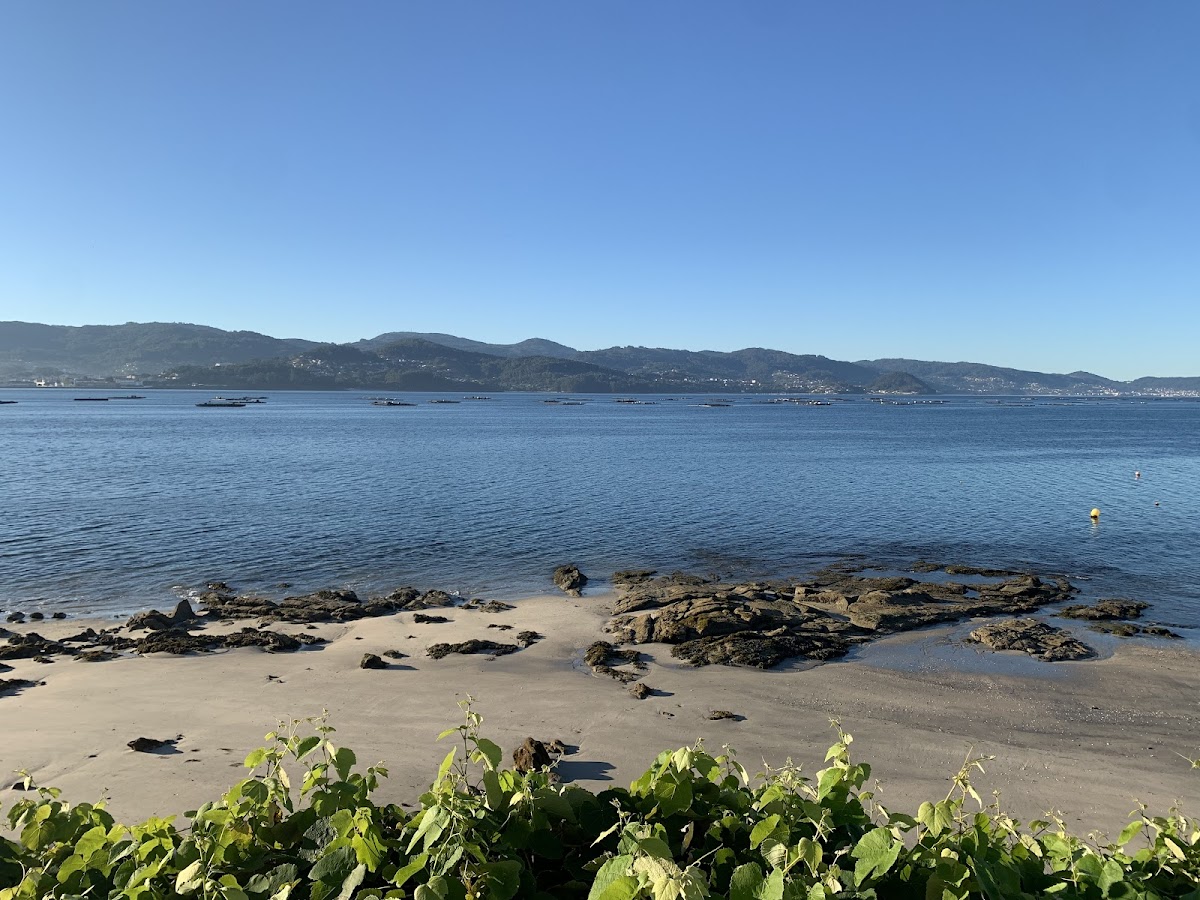 HOTEL MAREA - Foto 3