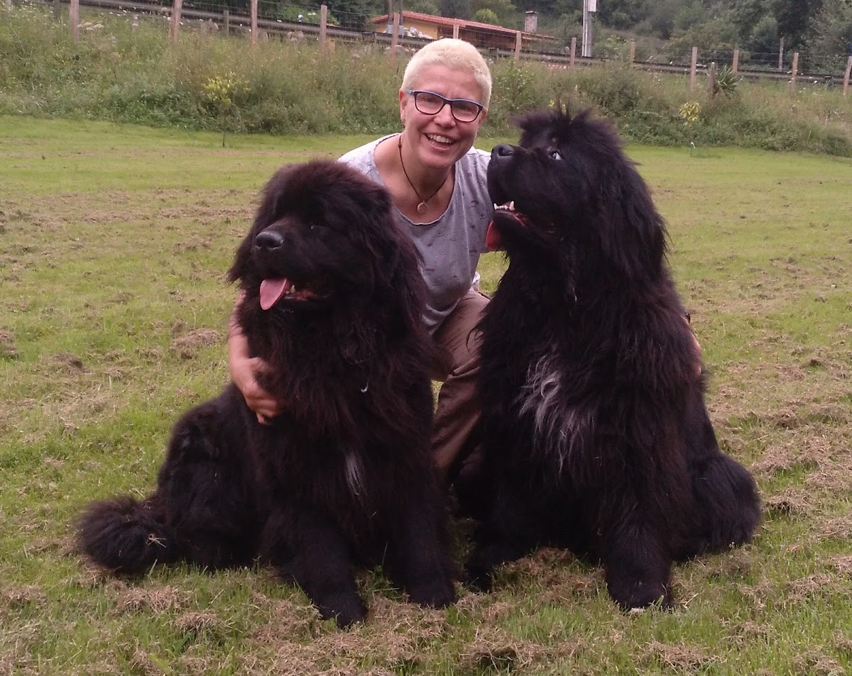 Posada Pet friendly El Molino de Cantabria - Foto 4