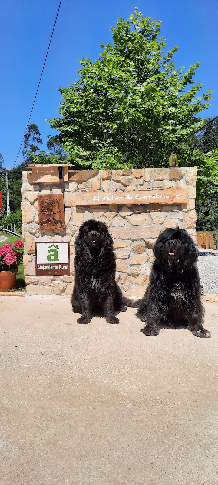 Posada Pet friendly El Molino de Cantabria - Foto 5