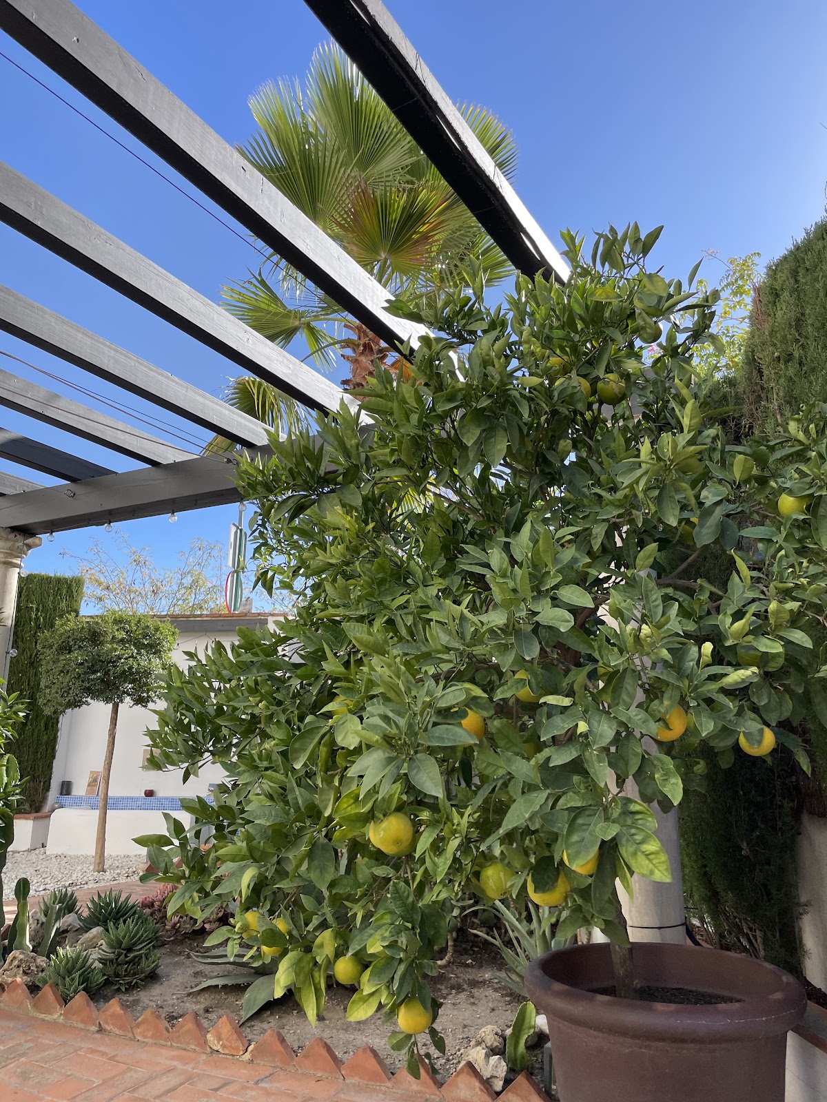 B&B San Miguel - Foto 4